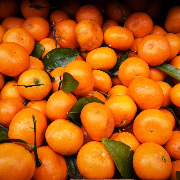 frutas y verduras